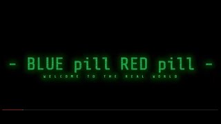 BLUE PILL RED PILL [upl. by Adnalu]