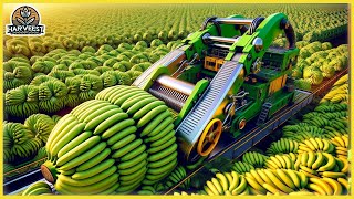 The Most Modern Agriculture Machines That Are At Another Level Harvest BananaHarvest Innovators [upl. by Leverett]