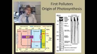 What are some of the problems in studying fossil plants [upl. by Kress]