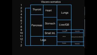 Viscerosomatics For COMLEX Level I [upl. by Urbanna79]