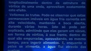 A Inteligencia da Água Viktor Schauberger por Salvatore de Salvo [upl. by Les100]