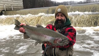 Top fly for Great Lakes steelhead lake run rainbows [upl. by Ahsirt576]