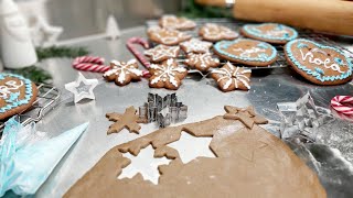 Lebkuchenteig Honiglebkuchen Grundrezept Lebkuchen und Royal Icing Spritzglasur [upl. by Immij]