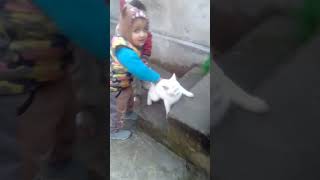 Cuteness Overload Adorable Abdullah Bonds With Playful Cat 😻😍shorts youtubeshorts viral [upl. by Boote]