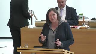 Sabine Friedel zum Sonderbericht des Rechnungshofes [upl. by Leopoldeen]