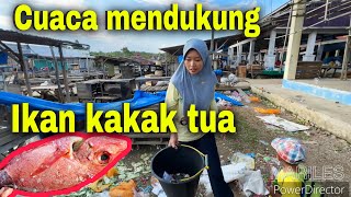 ADA IKAN KAKAK TUA⁉️ ADA YG MASANG SAJEN [upl. by Llenil]