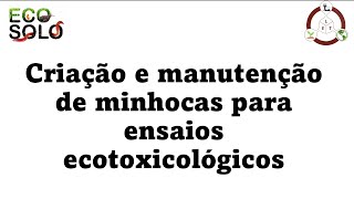 Criação e manutenção de minhocas para ensaios ecotoxicológicos [upl. by Borrell]