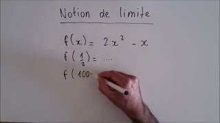 Notion de limite [upl. by Menis993]