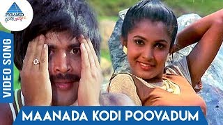 Maanada Kodi Song  Muthal Vasantham  Sathyaraj  Pandiyan  Ramya Krishnan  Pyramid Glitz Music [upl. by Robbin]