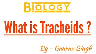 What is Tracheids   By  Gaurav Singh [upl. by Llehsyt]