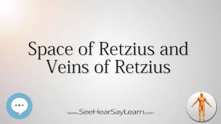 Space of Retzius and Veins of Retzius Anatomy Named After People 🔊 [upl. by Ryley]