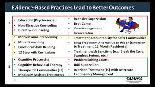 RNR Applications across Behavioral Health and Criminal Justice [upl. by Crawford]