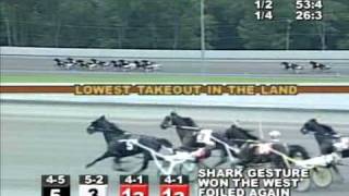 2010 Bettors Delight Pace  theharnessedgecom [upl. by Marlyn]