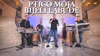 Dijamanti Bend  Ptico moja bijeli labude UŽIVO [upl. by Sherer]