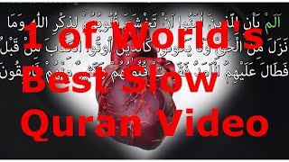 Quran Recitation Really Beautiful Surah Hadid 1 of Worlds Best Slow Quran Recitation [upl. by Laddie971]