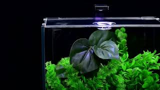 Aquatop Venti Desktop Aquarium Kits 1 2 amp 5 Gallon  Perfect for Shrimp Snails and Small Fish [upl. by Fenny]