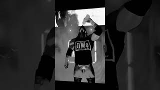 WWE 2k24 Triple H NWO entrance [upl. by Cawley634]