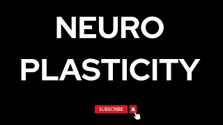 Neuroplasticity  How Your Brain Can Rewire Itself [upl. by Olumor]