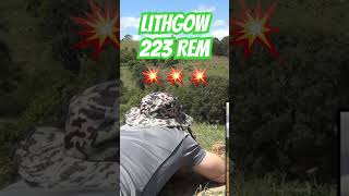 Lithgow LA102 223 ozziereviews shooting lithgow 223 243 308 firearms viralshorts rifle [upl. by Nahsor960]