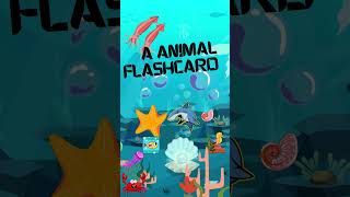 Sea Animals  practice reading shortstrending shortsfeed viral viralshorts youtubeshorts [upl. by Yelhak]