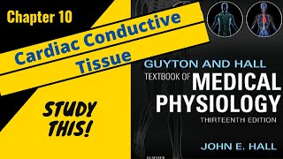 Guyton and Hall Medical Physiology Chapter 10 REVIEW Cardiac Conductive Tissue  Study This [upl. by Marchal]