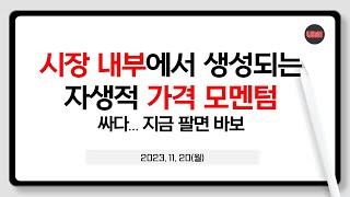 시장내부에서 생성되는 자생적 가격 모멘텀 싸다지금 팔면 바보 [upl. by Pettit]