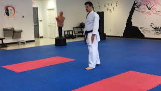 Wado Ryu Basic Techniques Kazoku Karate dojo 4th Kyu Blue Belt [upl. by Jeno996]