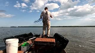 Shrimping  Flounder Gigging  Fishing around Charleston SC [upl. by Isabel]