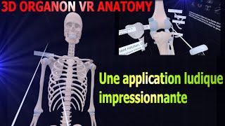 Modélisation en 3d  Le corps humain squelette [upl. by Harlie]