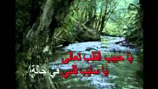 Arabic Karaoke tab leh Ragheb alame [upl. by Aneeram551]