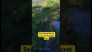 Mountain Biking  How to find secret lines at the bikepark mtb explore mtbmarkw [upl. by Nitnilc]