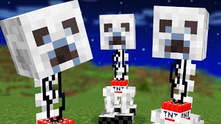 We Combined Minecraft Mobs with Skeletons [upl. by Bullivant]