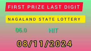 First Prize Last Digit 081124 Nagaland State Lottery Target Number Lottery Sambad Target Number [upl. by Philbo]