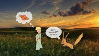 Le Petit Prince et le renard  chapitre XXI [upl. by Aimak]