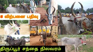 5 விற்பனை பதிவு மற்றும் திருப்பூர் சந்தை நிலவரம் venthan cattle farm muthur [upl. by Natalee66]