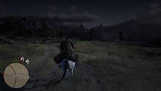 Como conseguir la piel de bisonte en perfecto estado en RDR2 [upl. by Imit]