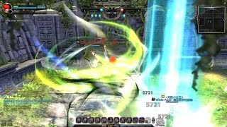 Dragon Nest PvP  Windwalker vs Tempest Level 90 Cap [upl. by Gilson396]