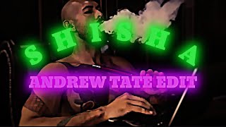 「 SHISHA 」 ANDREW TATE EDIT  4K [upl. by Aires40]