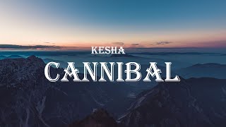 Kesha  Cannibal Rapidsongs Edit Lyrics  TikTok Song [upl. by Ellenohs]