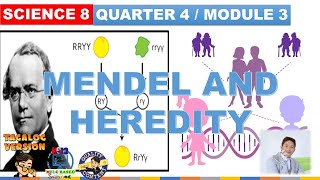 MENDEL AND HEREDITY SCIENCE 8 Q4 MODULE 3 Genetic crosses using Punnett Squares ALLELES GENES [upl. by Naimerej524]