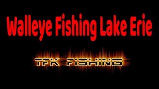 Lake Erie Walleye Aboard The Perch Pirate  9118 [upl. by Ardnusal]