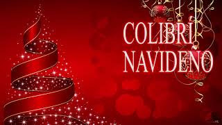 COLIBRÍ NAVIDEÑO [upl. by Martreb27]