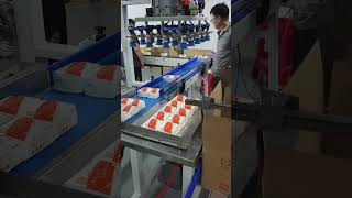 fully automatic paper boxes filling into big carton box packaging machine for tissues boxes [upl. by Efrem]