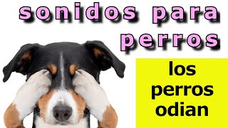 Sonidos Para Perros 🐶 5 Sonidos que los Perros ODIAN 🐶 [upl. by Venuti]