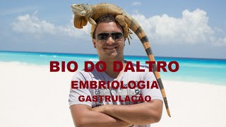 EMBRIOLOGIA  PARTE 03  GASTRULAÇÃO [upl. by Rettig]