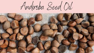 Andiroba Oil INCI Carapa Guinaensis Oil Limonoid Rich Cleansing Agent [upl. by Anilah]