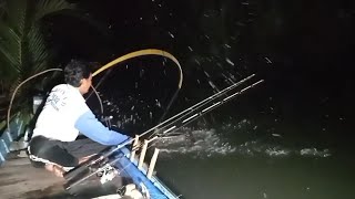 Sambaran demi Sambaran ikan Mangrove Jack yang mengejutkan [upl. by Lebana]