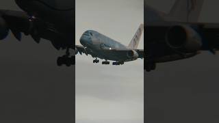 成田空港 エアバスA380841 フライングホヌ shorts [upl. by Selena]