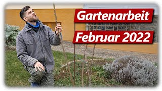 Gartenarbeit Februar  Extremschnitt Feigenbaum Marillen schneiden PawPaw Frühlingsblüher [upl. by Yar]