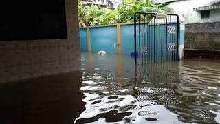 Palakkad Flood ¦ water in Home ¦ Kanjikode ¦ Kerala Rain [upl. by Origra788]